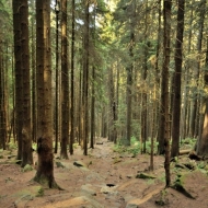 novohradske-hory-kravi-hora_03