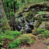 novohradske-hory-kravi-hora_13