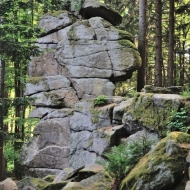 novohradske-hory-kravi-hora_14