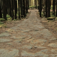 novohradske-hory-kravi-hora_19