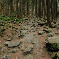 novohradske-hory-kravi-hora_21