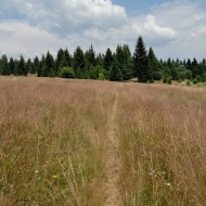 Kremnické vrchy - Kremnický štít
