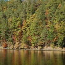 Křižanovická přehrada