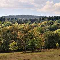 Krkonoše - Rýchory -Cestou na Dvorský les
