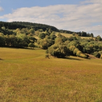 Krkonoše - Rýchory -Cestou na Dvorský les
