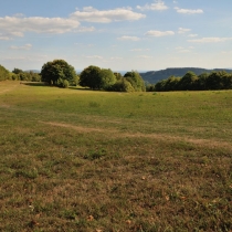 Krkonoše - Rýchory -Cestou na Dvorský les