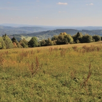 Krkonoše - Rýchory -Cestou na Dvorský les