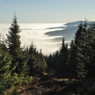 Inverze v Krkonoších - výstup na Svorovou horu