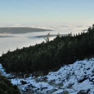 Inverze v Krkonoších - výstup na Svorovou horu