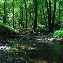 Kunratický les