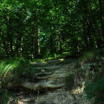 Kunratický les