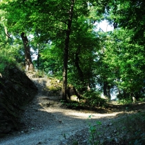 Kunratický les