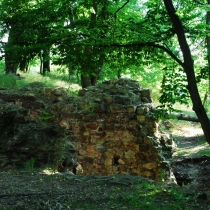 Kunratický les