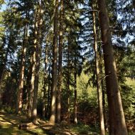 lacnovske-skaly_10