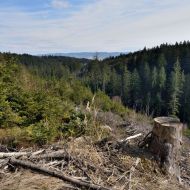 lacnovske-skaly_36