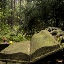 DIGITAL CAMERA