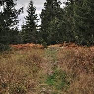 slavkovsky-les-lesny_06