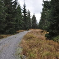 slavkovsky-les-lesny_08