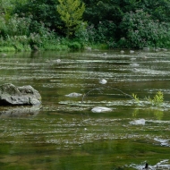 Litice - Divoká Orlice