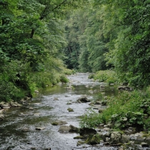 Litice - Divoká Orlice