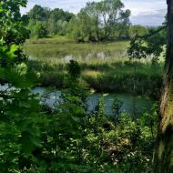 litovelske-pomoravi_18