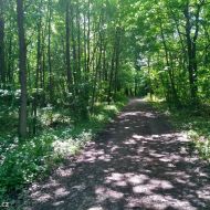 litovelske-pomoravi_22