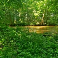 litovelske-pomoravi_24
