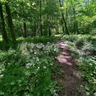 litovelske-pomoravi_26