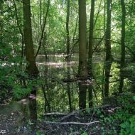 litovelske-pomoravi_32