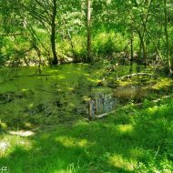 litovelske-pomoravi_36