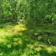 litovelske-pomoravi_37