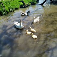 litovelske-pomoravi_38