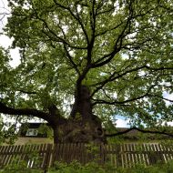 okruh-lovetinska-rokle_01