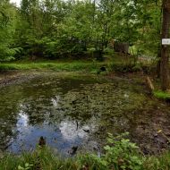 okruh-lovetinska-rokle_02