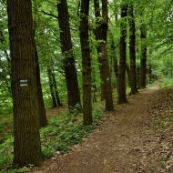 okruh-lovetinska-rokle_03