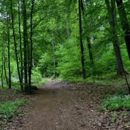 okruh-lovetinska-rokle_04
