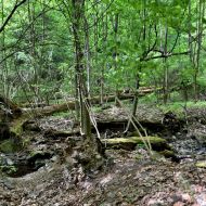 okruh-lovetinska-rokle_07