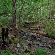 okruh-lovetinska-rokle_11
