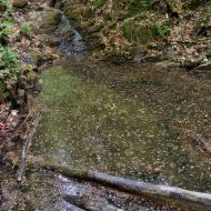okruh-lovetinska-rokle_19