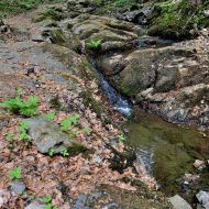 okruh-lovetinska-rokle_20