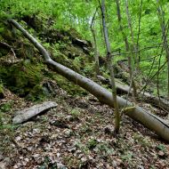 okruh-lovetinska-rokle_22