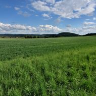 okruh-lovetinska-rokle_28