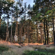 luzicke-hory-karlova-vysina_06