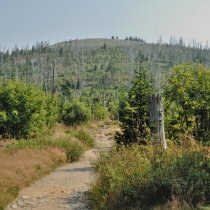 Luzný / Lusen (1373 m. n. m.)