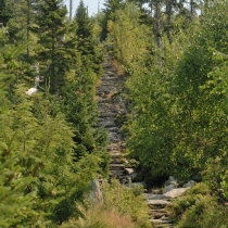 Luzný / Lusen (1373 m. n. m.)