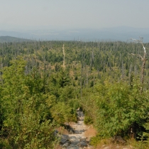 Luzný / Lusen (1373 m. n. m.)