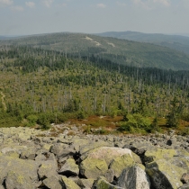 Luzný / Lusen (1373 m. n. m.)