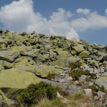 Luzný / Lusen (1373 m. n. m.)
