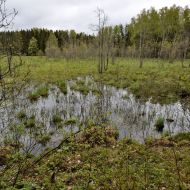 mikytu-alkakalnis_01