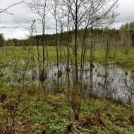 mikytu-alkakalnis_02